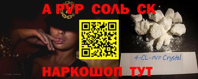 шишки Дубна