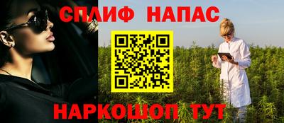 шишки Дубна