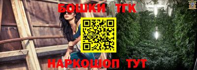 шишки Дубна
