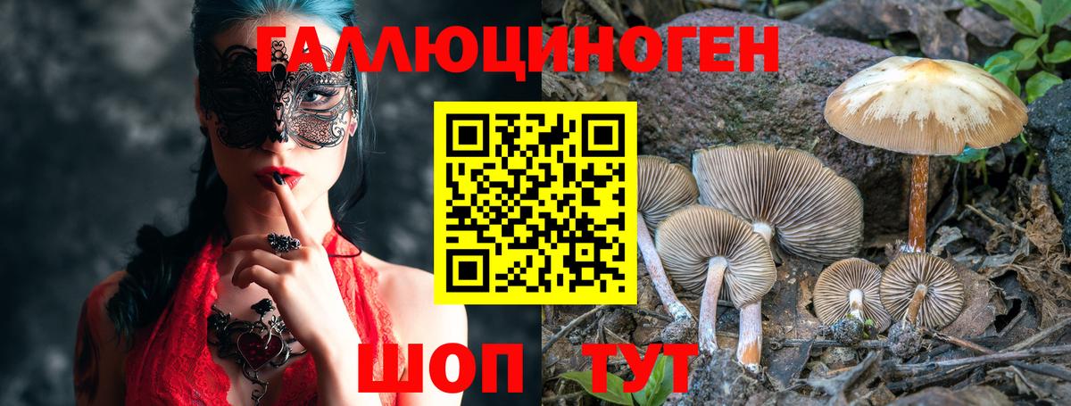 Псилоцибиновые грибы Cubensis Верхняя Салда