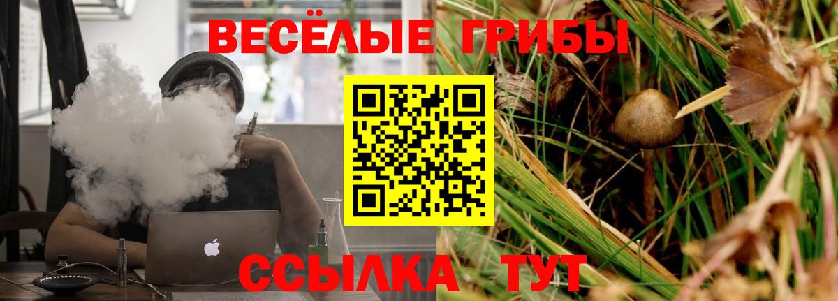 Галлюциногенные грибы GOLDEN TEACHER  Галлюциногенные грибы Cubensis  Вход с VPN  Верхняя Салда 